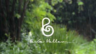 Sentimental New Age Music for the Summer Rain Showers + Raindrops ASMR