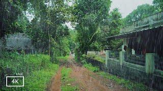 Walking in Heavy Rain in Beautiful  Village | ASMR Rain Sounds for Sleeping and Meditation