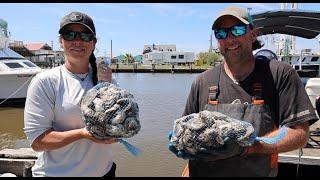 Learning About Alternative Oyster Culture in Grand Isle, LA | Bayou Wild TV