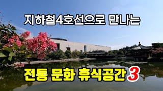 전통가옥과 배롱나무의 조화 | 과거와 현대 미래의 만남