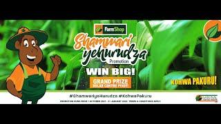 Shamwari Yehurudza Promotion