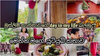 මේ වගේ අහල තියෙනවද?/කඩල කරිය/My kitchen by fasa Sinhala/Srilankan recipes