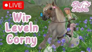 LIVE Wir Leveln Corny| SSO | Server 3 Chocolate Mountain