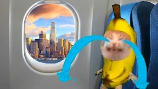 BANANA CAT  HAPPY AND  CRY ( 28 MINUTES ) VIDEOS 21 #catmemes #cat #bananacat #happycat #fyp