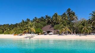 Traumurlaub auf Sun Siyam Vilu Reef im Oktober 2024 Malediven