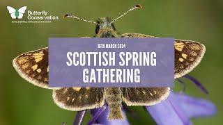 Scottish Spring Gathering 2024 | Butterfly Conservation