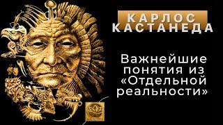 Карлос Кастанеда. Важнейшие понятия из «Отдельной реальности»