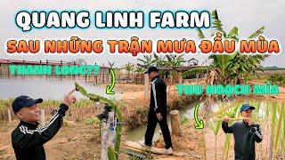 Quanglinhvlogs || Dạo Thăm 1 Vòng Quang Linh Farm Sau Những Cơn Mưa Đầu Mùa.