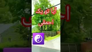 درس بگیرم #پادکست #پیشرفت #کلیپ #رویایی#ترند #زندگی #عاشقانه  #love #tarot