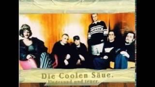 DCS [Die Coolen Säue] - Ungesund Und Teuer (1997)