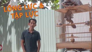 LỒNG LỰC ƯA THÍCH CỦA CHÀO MÀO FC?