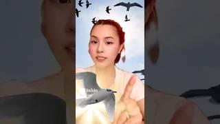 Why Is Bird Poop Always White (The Gross Truth Revealed!)