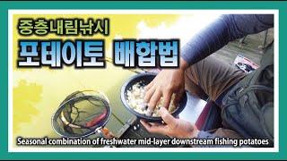 시즌별 중층내림낚시 포테이토 배합법 : Seasonal combination of freshwater mid-layer downstream fishing potatoes