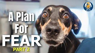 A Plan For Your Fearful Dog (Part 2): Susan Garrett’s Strategic Plan For Anxious Dogs #237