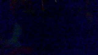 Michael Vogensen Live #1