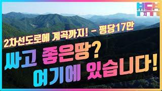 [토지Ep.31] 싸고 좋은땅? 여기 있습니다! 2차선도로에 계곡까지! 캠핑장, 글램핑장 부지로 최적!