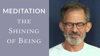 Guided Meditation: Peace and Happiness are the Shining of Being