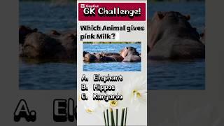 Quiz Blitz General Knowledge #shorts #quiz #gk
