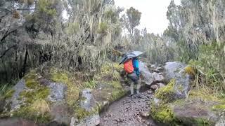 My Honest suggestion to Hikers | Shira Camp | Mount Kilimanjaro | The Roof of Africa | Day 2