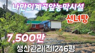 ●거래완료●나만의깨끗한계곡물(선녀탕)앞농막시설생산관리(전)815m²(246평)