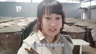 女孩不做旅行自媒体了 回家继承了几百万的资产 但她却不开心