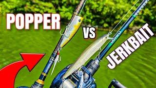 Topwater Popper Bass Fishing vs Jerkbait (USE BOTH!)