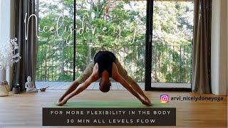 30 Min all levels yoga flow | Nice all levels vinyasa flow for more balance and flexibility