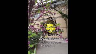 راز آدمای موفق وقتی بقیه خوابن ...#انگیزشی #راز ثروت#تفکر مثبت #ساختن _ویدیو #موفقیت #پیشرفت #