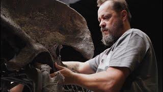 Installing three iconic dinosaurs - unearthed in Wyoming and arriving in London | Christie's