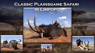 Classic Plainsgame Safari in Limpopo