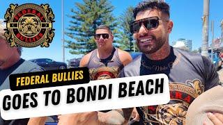 Federal Bullies Goes To Bondi Beach