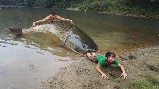 Primitive Daily Life - Big Fish Attack Smart Girl - Amazing Survival Unique Hand Fishing Catch Fish