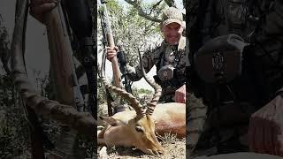 Impala Down #cabelas @CabelasHunting @allanschenksafaris #huntongaro  Impala Hunting South Africa