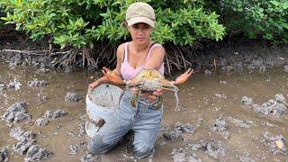 Season Crab - Catch Big Mud Crabs at The Sea Swamp after Water Low Tide