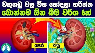 වකුගඩු වල විෂ සෝදලා හරින්න බොන්නම ඕන බීම වර්ග 6ක් | 6 drinks Cleanse Your Kidneys Naturally