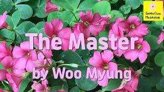 Master Woo Myung - Truth Verses - The Master | Santa Clara Meditation