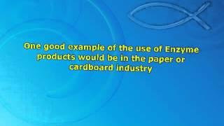 Enzyme products