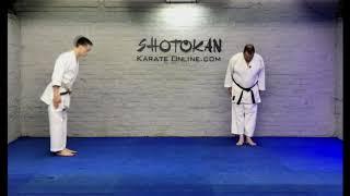 Shotokan Karate Brown Belt Basics 180 degree Turning Combination