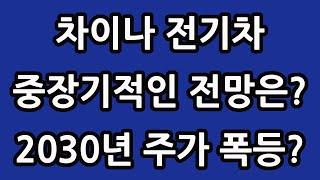 차이나 전기차 SOLACTIVE 주식 주가 전망 타이거 TIGER 중국 ETF 비야디 테슬라 니콜라 루시드 엔비디아 아이온큐 TQQQ SOXL TMF 2030년쯤 어떨지?