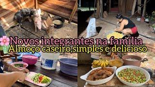 NOVOS INTEGRANTES NA FAMÍLIA/FIZ PEIXE FRITO/ALMOÇO COMPLETO/COMO FAÇO MINHA RAÇÃO/ELYELMA REIS