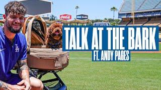 Talk at the Bark with Andy Pages | Presented by TAVO