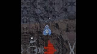 Sub to wafflevr