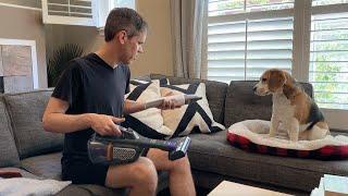 Cute beagle reviews car vacuums