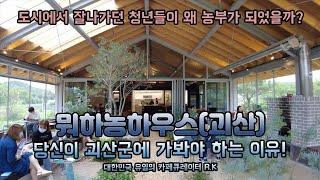 당신이 괴산을 여행한다면 꼭 가봐야 하는 이유! 뭐하농하우스 카페 CafeRoad