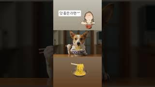 #영상 #라면 #후루룩