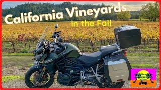 California Vineyard Motorcycle Ride in the Fall