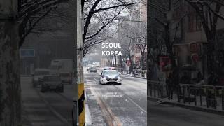 실시간 서울에 많은눈 ️#heavysnow #snowfall #폭설 #seoul #서울날씨