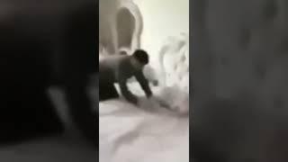 his soul left his body #funnyvideo#viralvideo #vidplex #cockroach