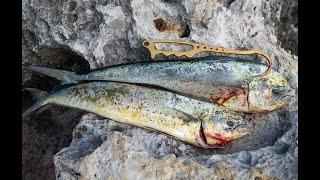 CATCHING MAHI MAHI FROM SHORE!! Catch and Cook | Okinawa Specialty