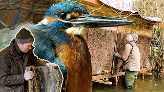 Building Nest Boxes for Owls, Kestrels & Kingfishers | My Wildlife Conservation | Robert E Fuller